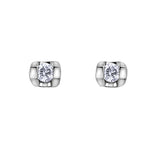 10k White Gold Diamond Stud Earrings